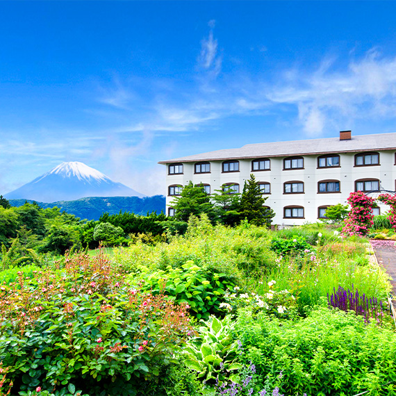 箱根の森高原教会からの景色